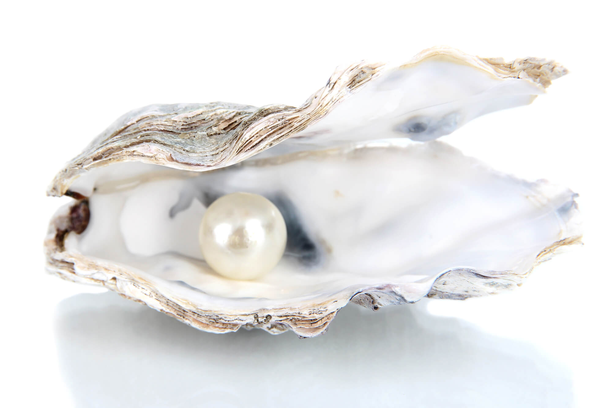 How Much Are Pearls Worth? Oyster, Clam, Tahitian, and More